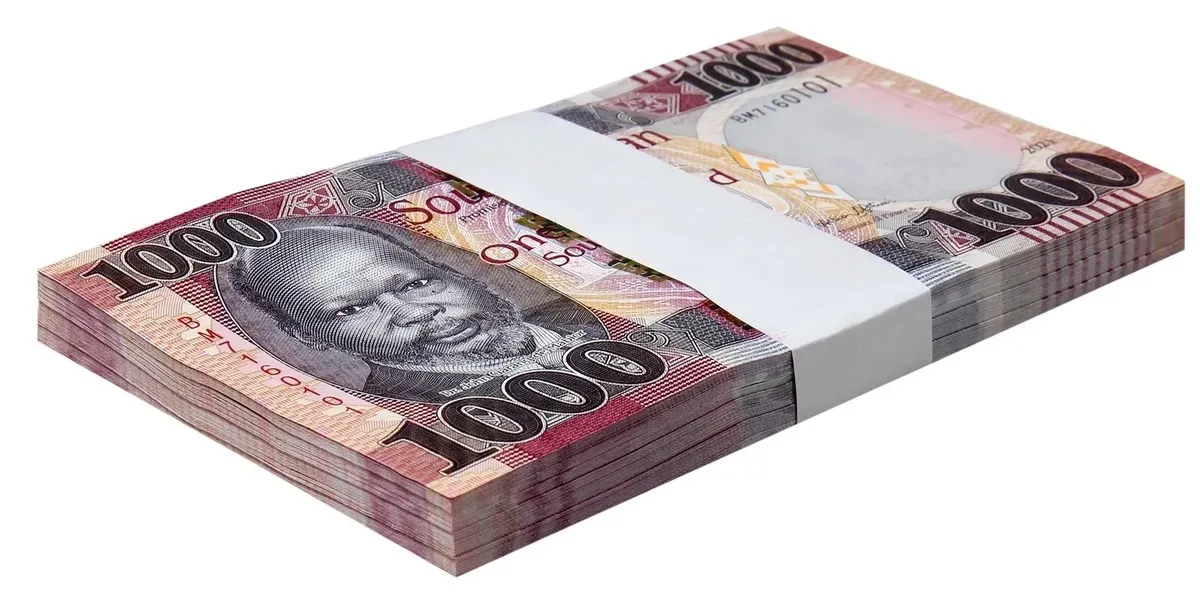 Govt orders mandatory local currency banking to combat illicit funds020 Govt orders mandatory local currency banking to combat illicit funds