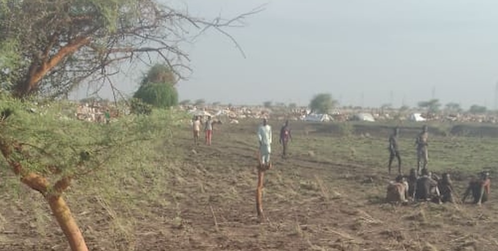 Cattle raid in northern Unity State leaves 14 including children dead