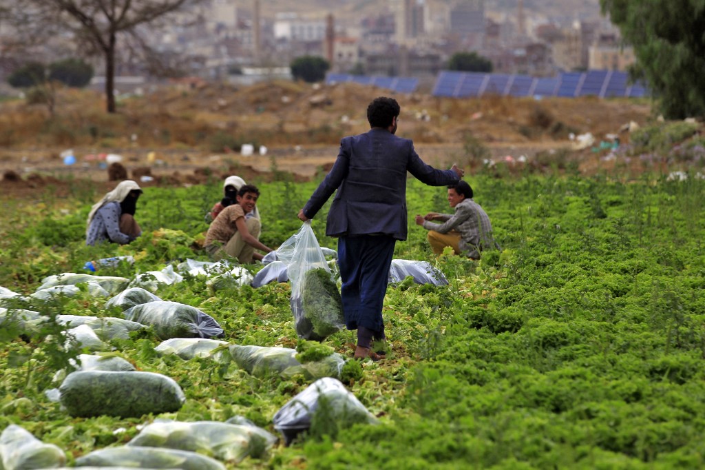 Taking our jobs: Yemeni workers lose out to lowerpaid Ethiopian migrants in lowskilled sectors020 Taking our jobs: Yemeni workers lose out to lowerpaid Ethiopian migrants in lowskilled sectors