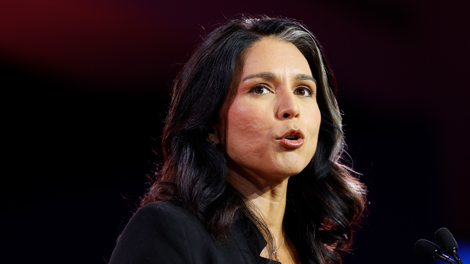 Tulsi Gabbards resignation as director of national intelligence removes sidelined Iran war sceptic020 Tulsi Gabbards resignation as director of national intelligence removes sidelined Iran war sceptic