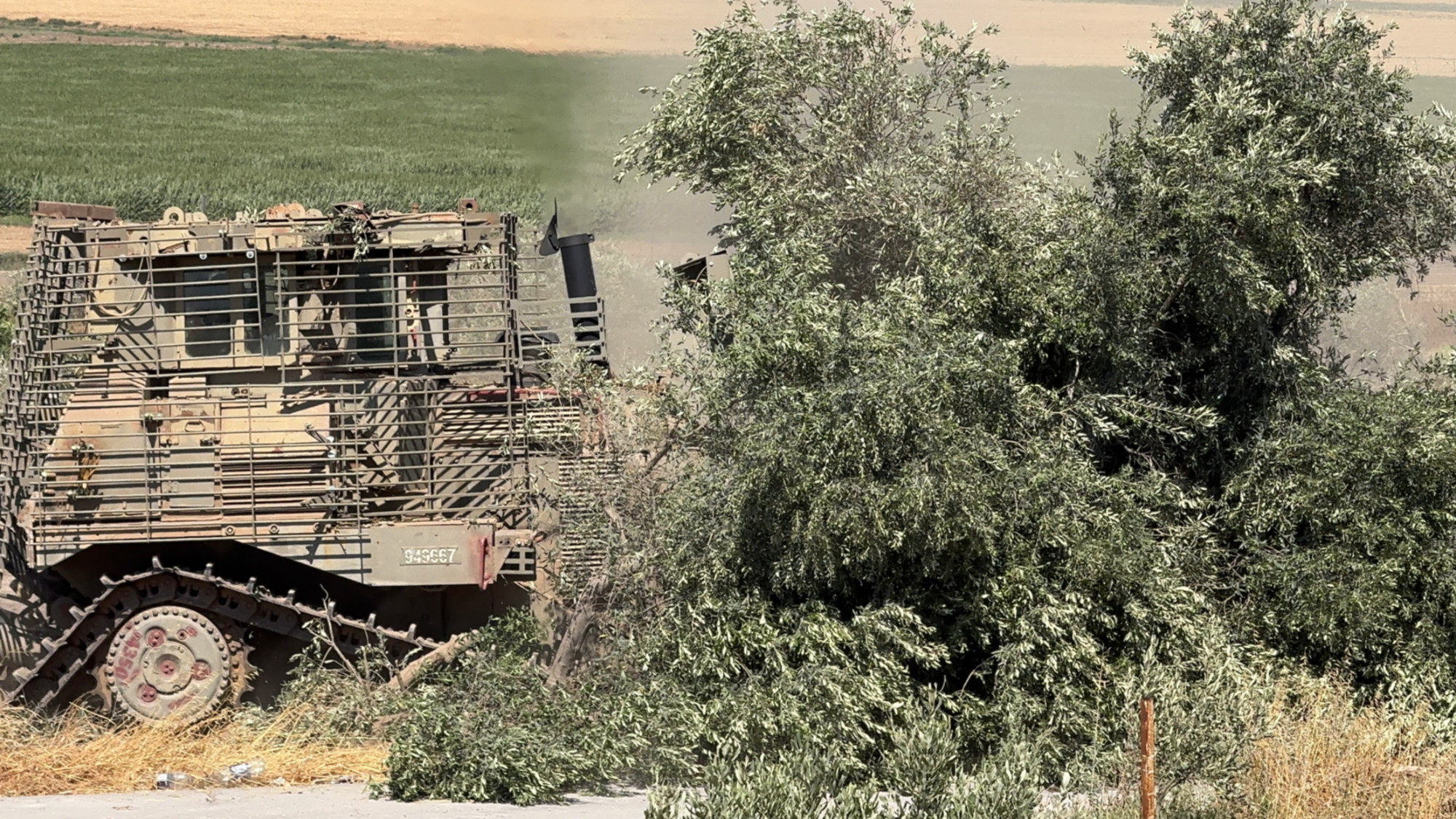 Israel uproots hundreds of West Bank olive trees amid fears of wider destruction