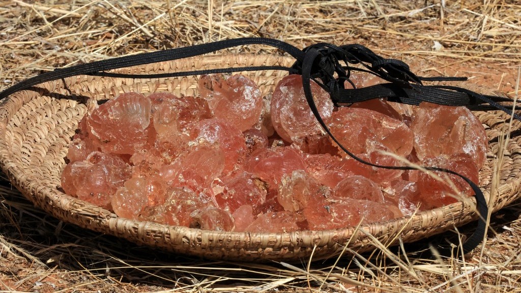 Looted gum arabic and gold fuelling RSF in Sudans civil war says UN report020 Looted gum arabic and gold fuelling RSF in Sudans civil war says UN report