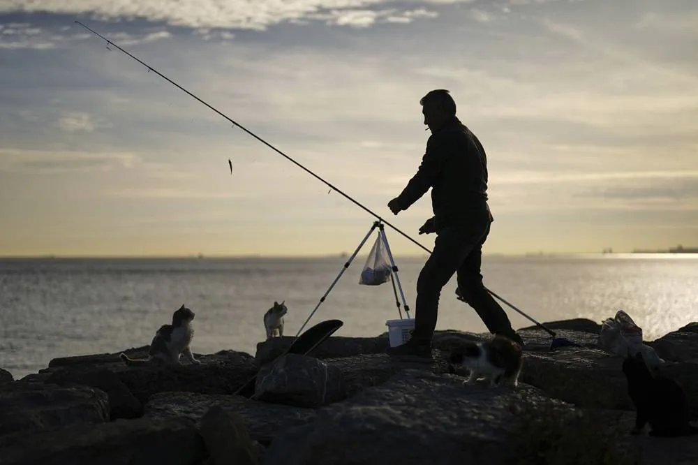 Türkiyes Simsek Says Disinflation to Continue FX Passthrough Limited